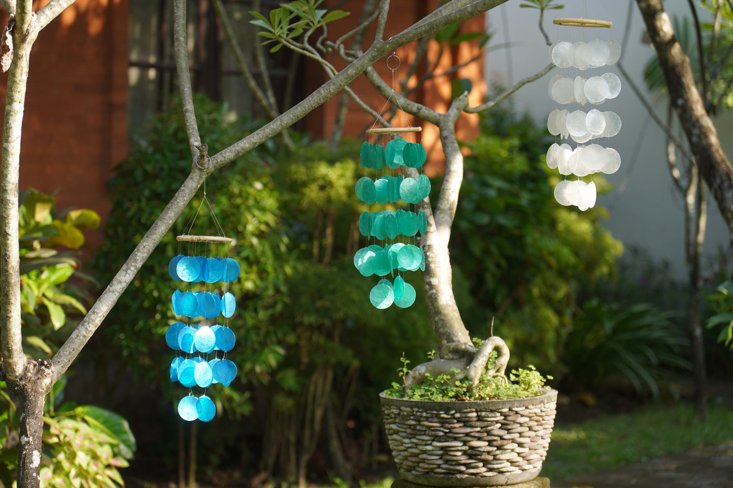 Rattan Top Capiz Shell Wind Chime