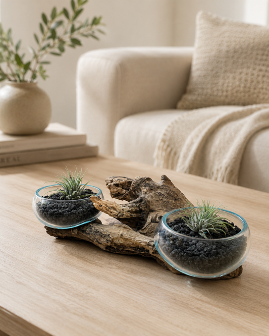 Double Handblown Recycled Glass Bowl | Root Wood Base | Kachayu