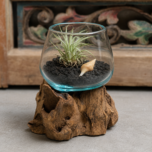 Mini Round Handblown Recycled Glass Terrarium/Vase/Bowl | Root Wood Base | Kachayu