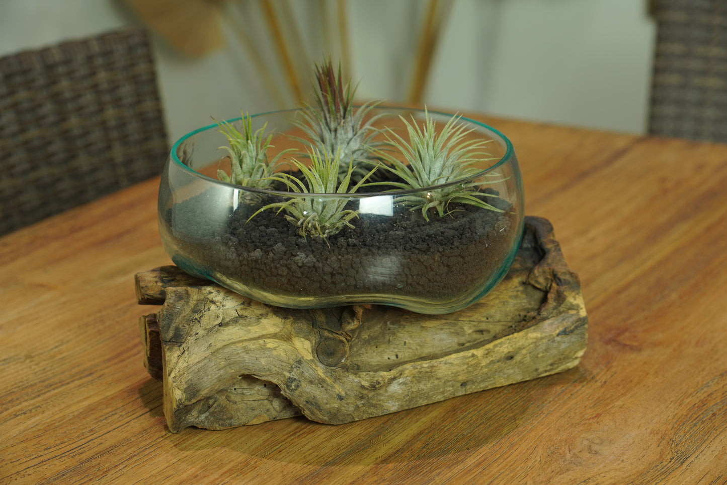 Large Handblown Recycled Glass Bowl | Root Wood Base | Kachayu