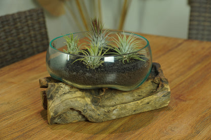 Large Handblown Recycled Glass Bowl | Root Wood Base | Kachayu
