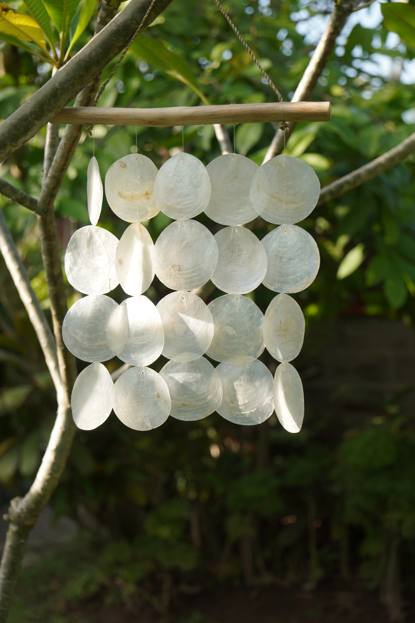 Capiz Shell Wind Chime & Hanging Wall Decor Driftwood Top