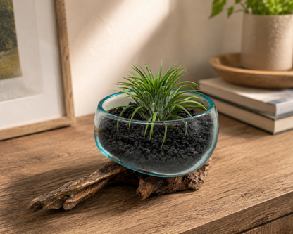 Small Handblown Recycled Glass Bowl | Root Wood Base | Kachayu