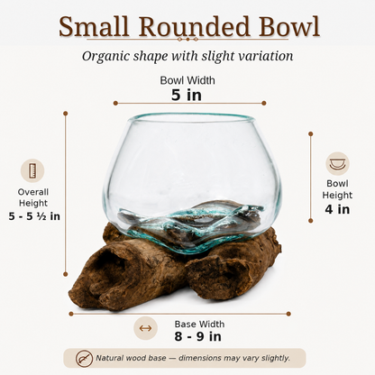 Small Round Handblown Recycled Glass Terrarium/Vase/Bowl | Root Wood Base | Kachayu