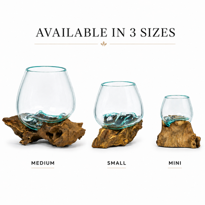 Small Round Handblown Recycled Glass Terrarium/Vase/Bowl | Root Wood Base | Kachayu